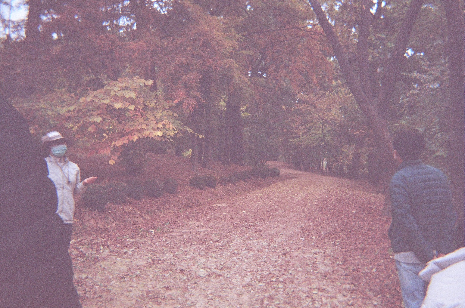 N201119151602hxk7vjfega.jpg